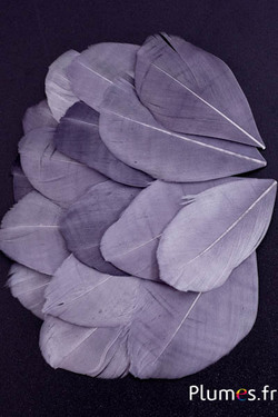 Pétales en plumes - 6-8 x 3-4 cm - anthracite